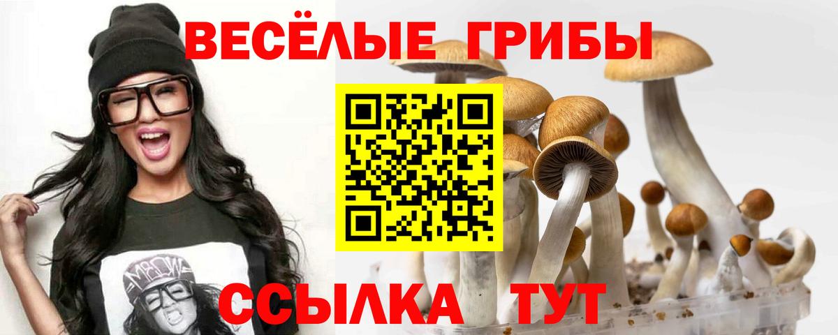 Галлюциногенные грибы MAGIC MUSHROOMS  Галлюциногенные грибы Magic Shrooms  Белорецк  Вход с VPN 